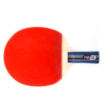 红双喜乒乓球拍2006